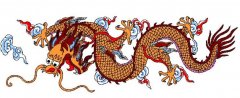 龍的(de)電腦繡花圖案