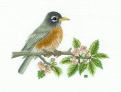 中國(guó)味十足的(de)花鳥刺繡圖案
