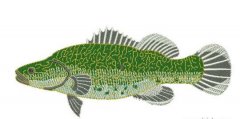 一(yī / yì ／yí)條大(dà)魚電腦繡花圖案